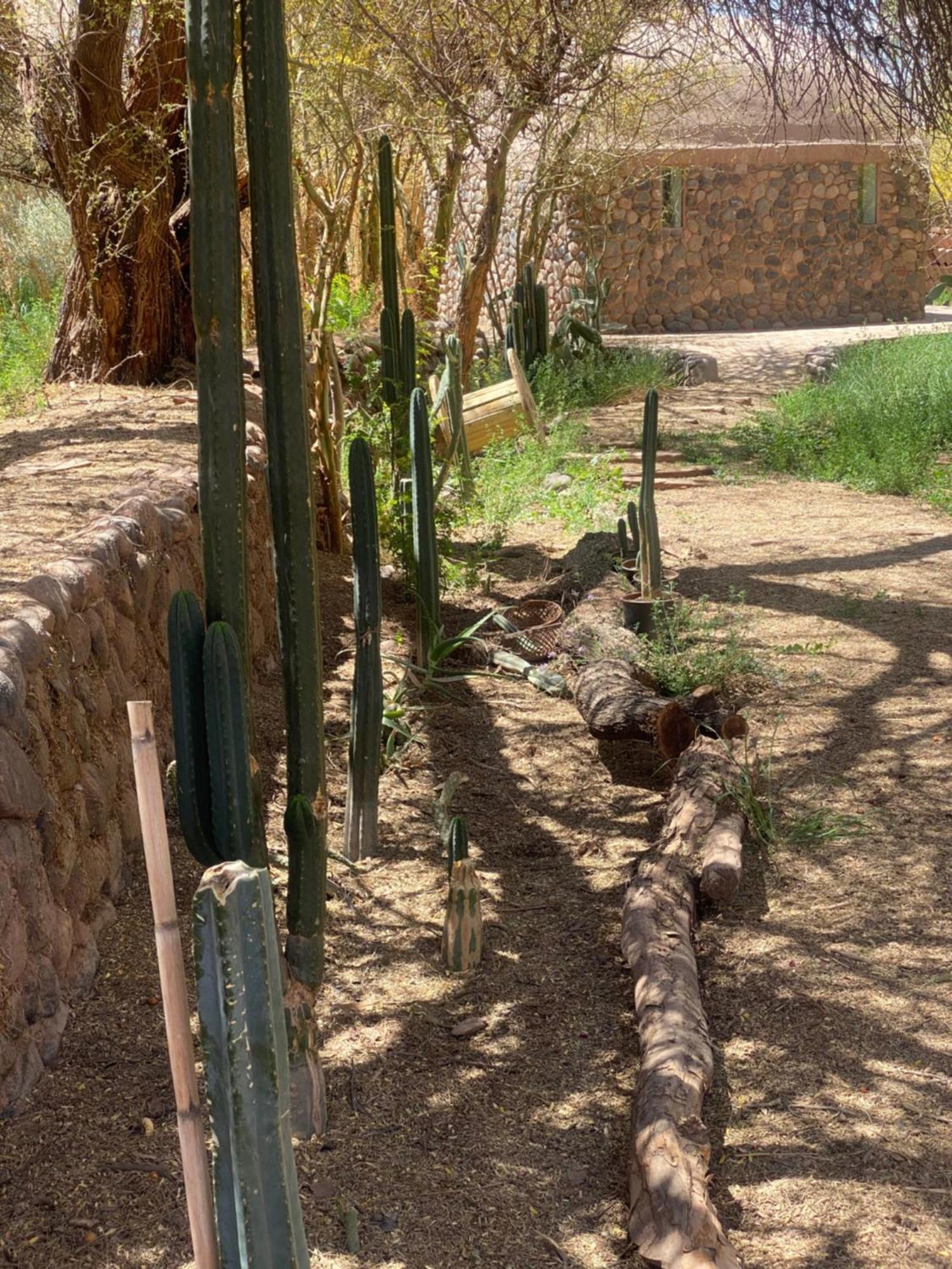 Casa Luna Affittacamere San Pedro De Atacama Esterno foto