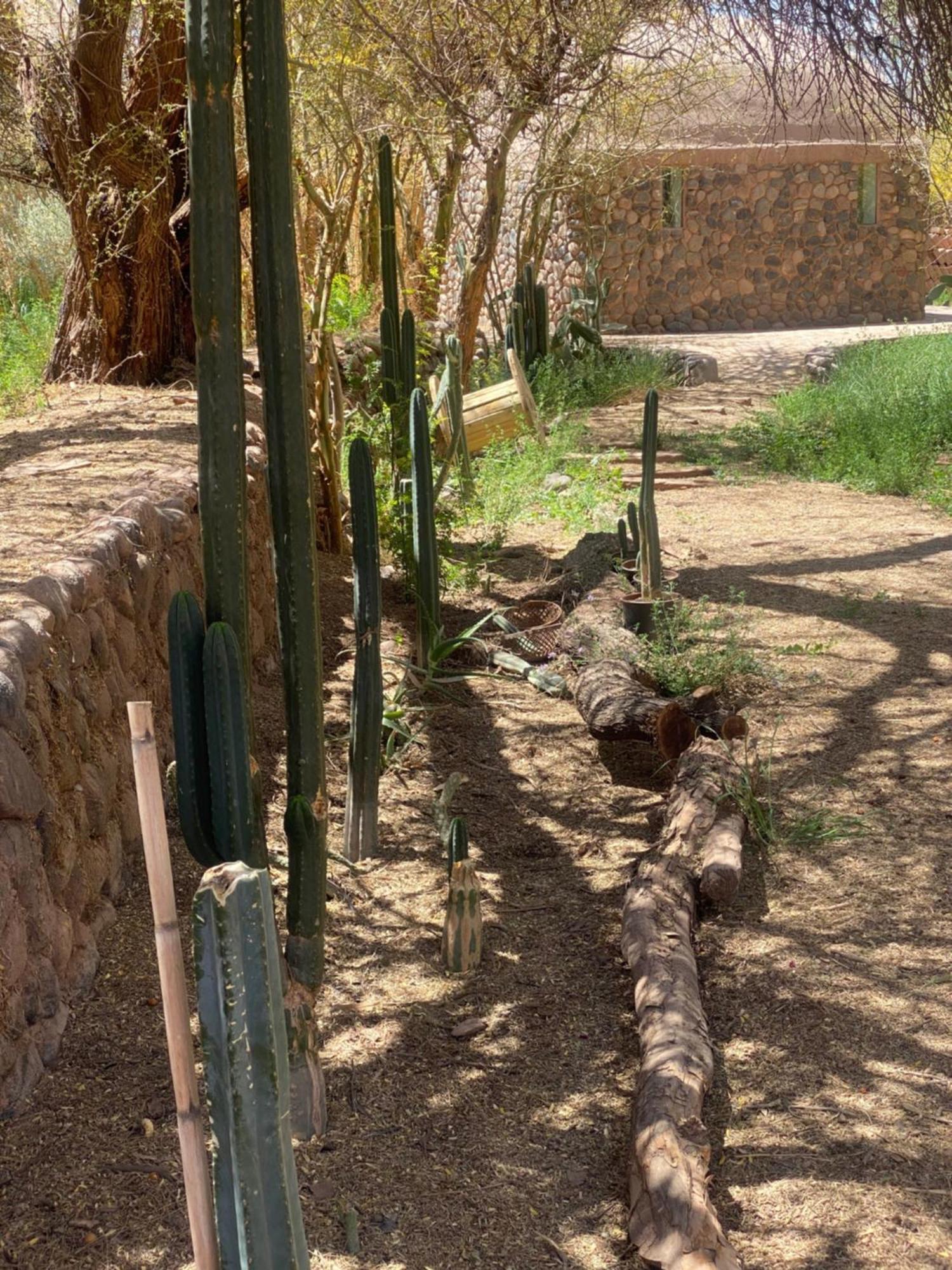 Casa Luna San Pedro De Atacama Esterno foto