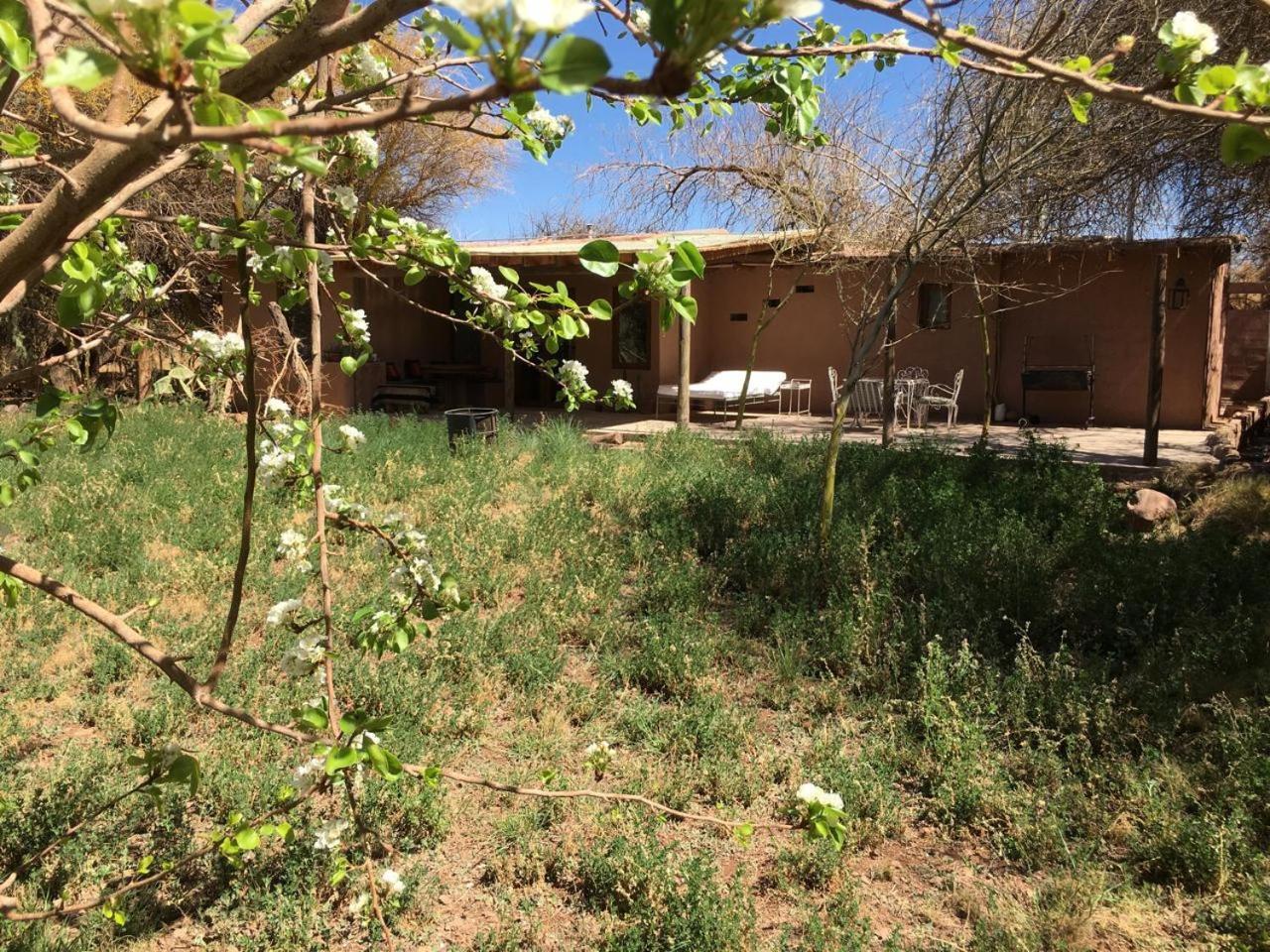 Casa Luna Affittacamere San Pedro De Atacama Esterno foto