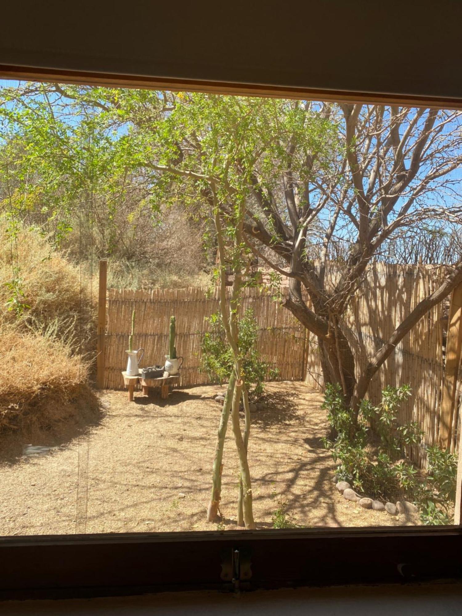 Casa Luna Affittacamere San Pedro De Atacama Esterno foto